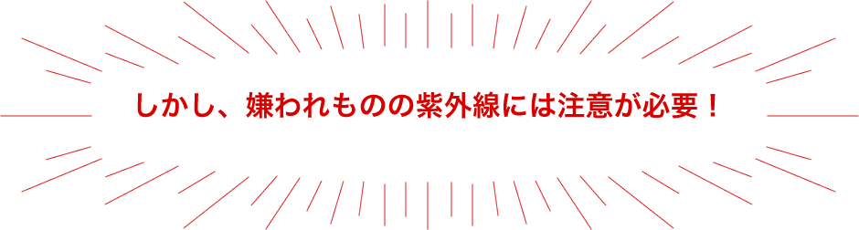しかし、嫌われものの紫外線には注意が必要！